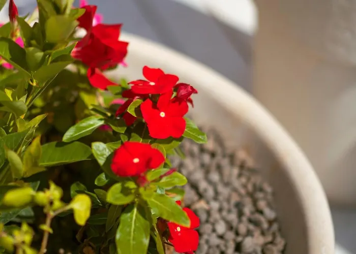 بيت للعطل Cosimo *