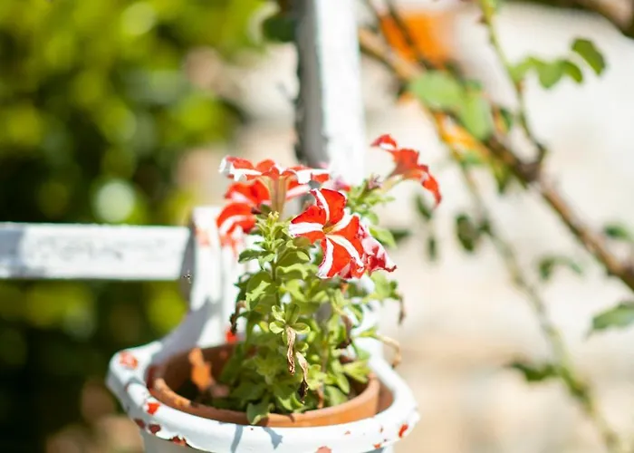 بيت للعطل Cosimo