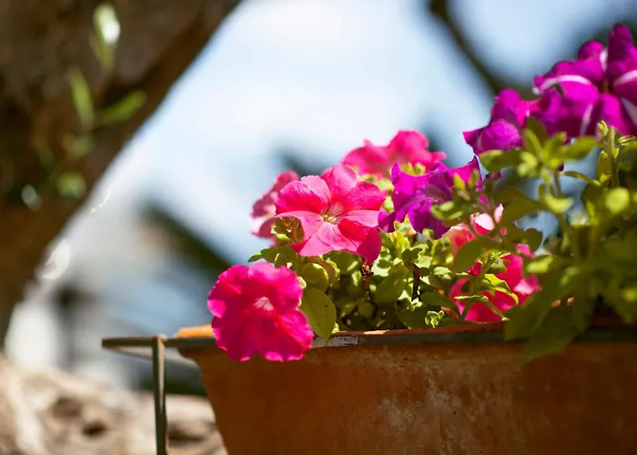 بيت للعطل Cosimo *